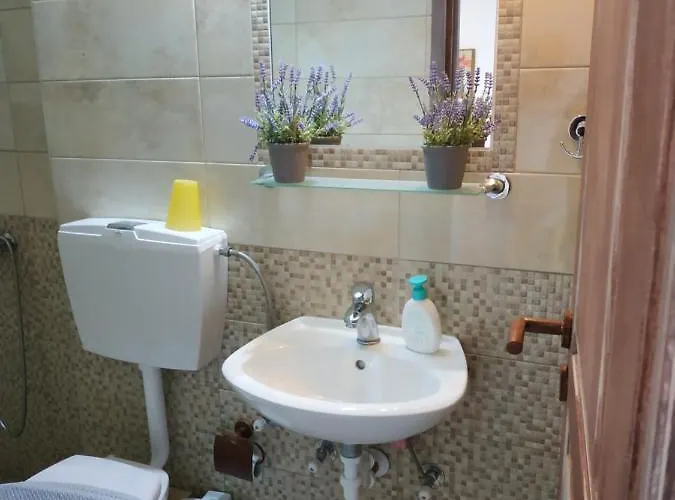 Mpouketo Apartment Neos Marmaras